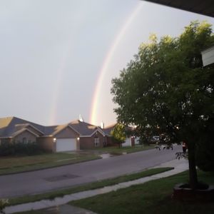 Meet your Posher, Bessie